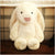 Long-eared rabbit plush toy - Enfance-Heureuse