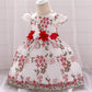 summer children's clothing new baby birthday party wedding dress skirt girls fluffy dress - Enfance-Heureuse