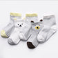 Children's Socks Pack of 5 Colors Breathable Summer Cotton Socks for Boys and Girls - Enfance-Heureuse