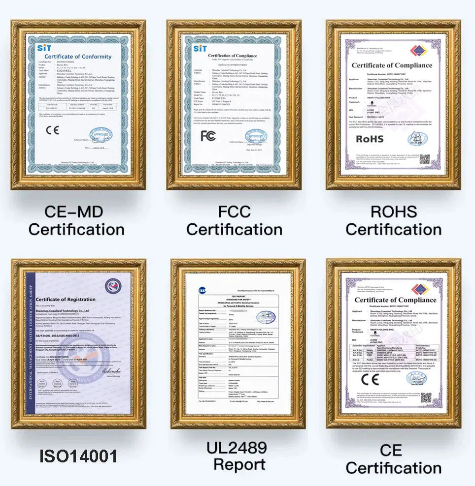 Vélo électrique Coswheel CT20 1500 W, moto 20 pouces, Fatbike, VTT, 48 V, 25 Ah, pour adultes