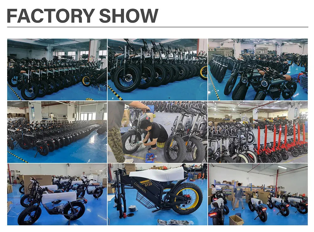 Vélo électrique Coswheel GT20 PRO 3000 W, moto électrique tout-terrain, 48 V, 40 Ah, double moteur, double batterie, VTT, gros pneus