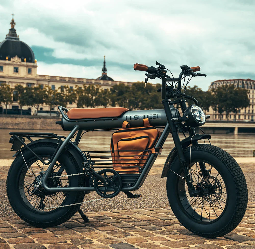 Vélo électrique Coswheel CT20 1500 W, moto 20 pouces, Fatbike, VTT, 48 V, 25 Ah, pour adultes